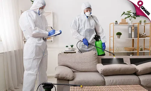 Pest Control Services!
